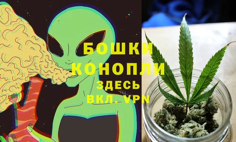 Шишки марихуана LSD WEED  как найти   Багратионовск 